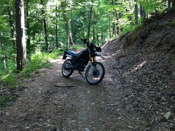 Moped