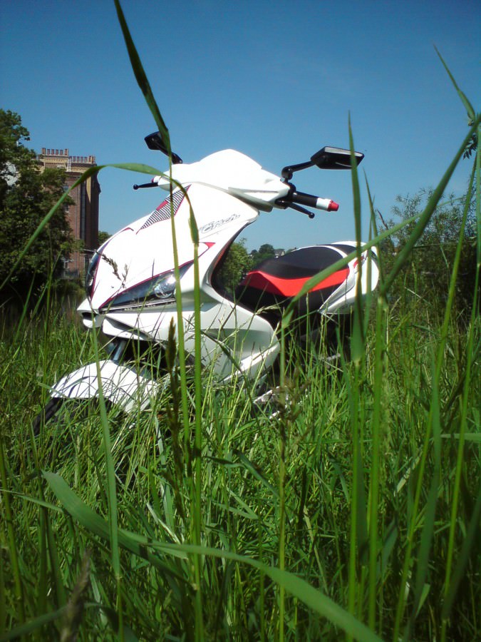 Der Sccoter im Gras