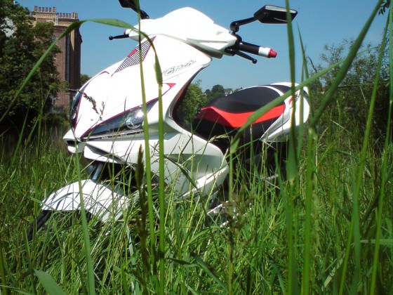 Der Sccoter im Gras