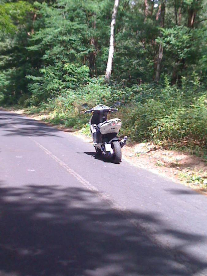 show me your rear baby'