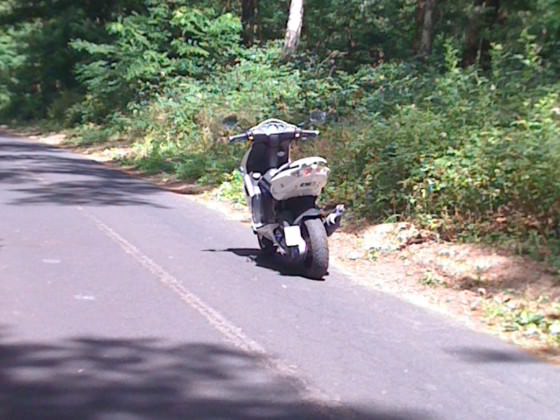 show me your rear baby'