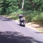 show me your rear baby'