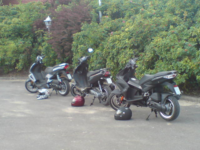 SCOOT