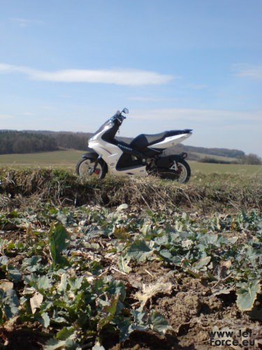 Top Wetter ♥