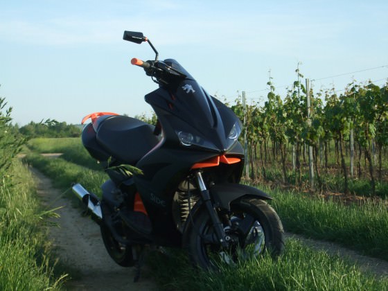 Bild 029