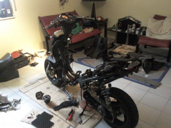 Foto0969tt