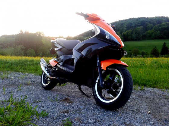 orangeblack jetts