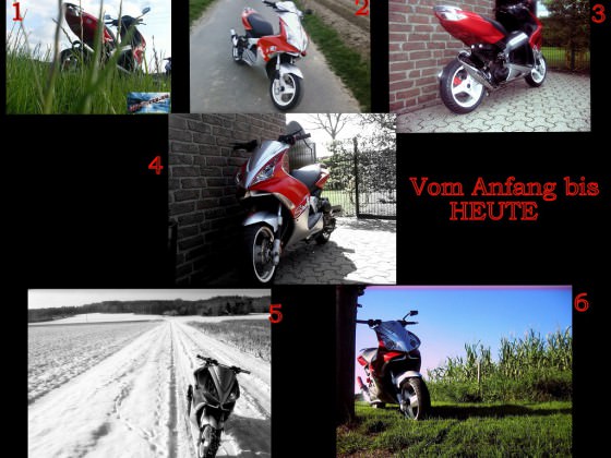 Vom Anfang bis heute