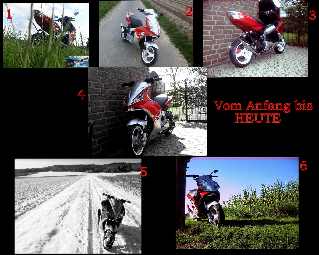 Vom Anfang bis heute