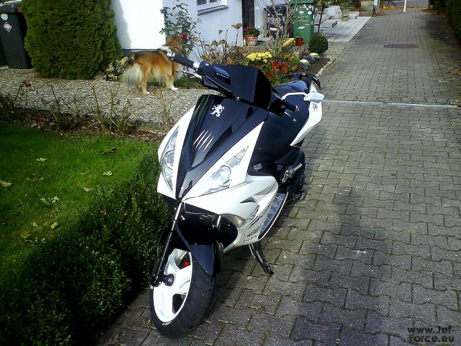Der Hund sollte ned aufs Bild :D