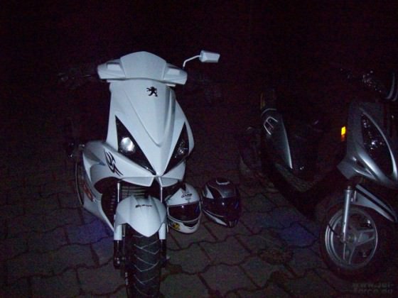 Seedeich:D