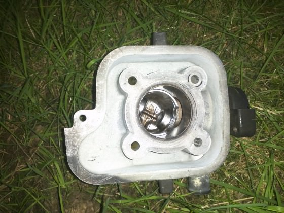 Original Zylinder 50ccm