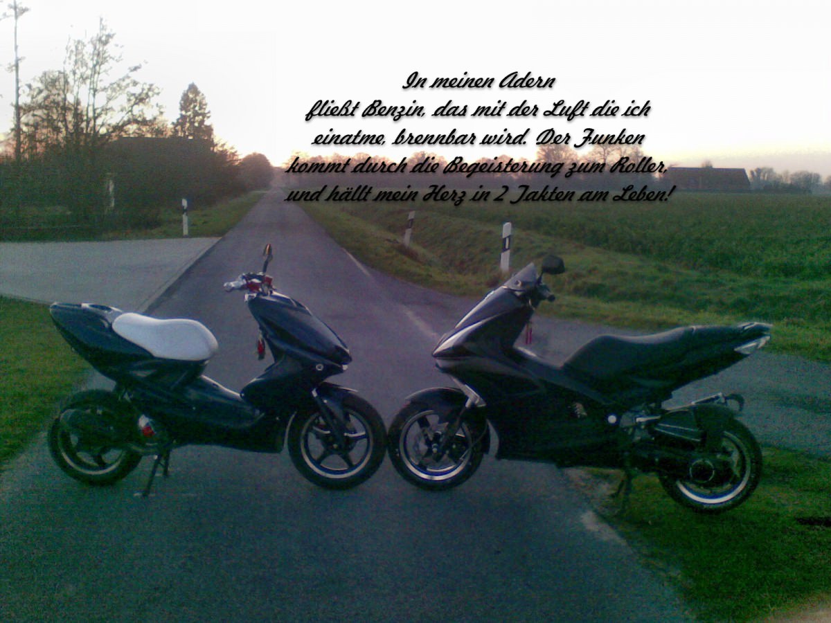 Roxi und Kendra