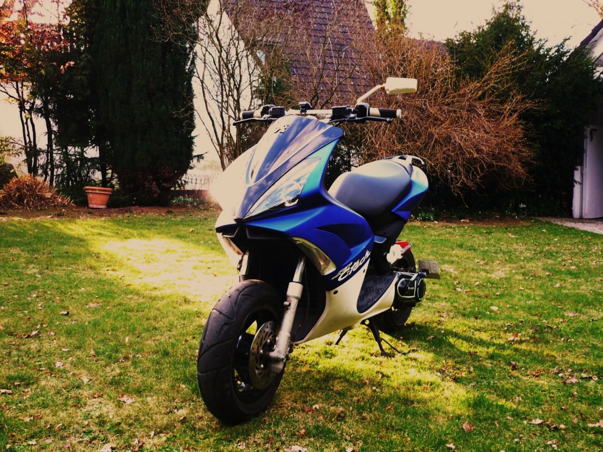 Im Garten ^^