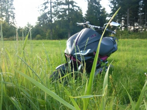 jo fotosession im feld :D morgen wird fertig abgestimmt und dann kommt video