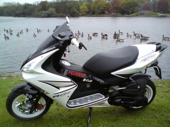 Der Scooter