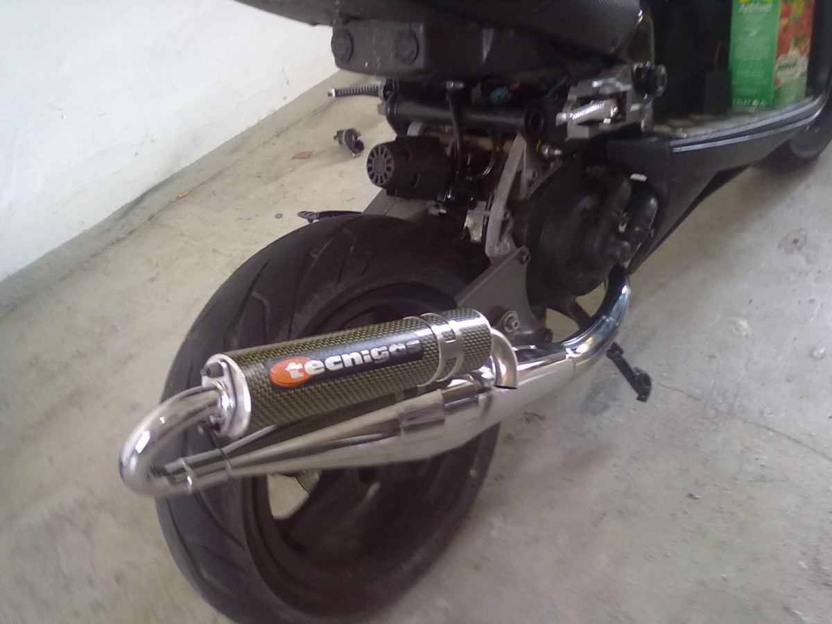 Stage 6 Viton Ass