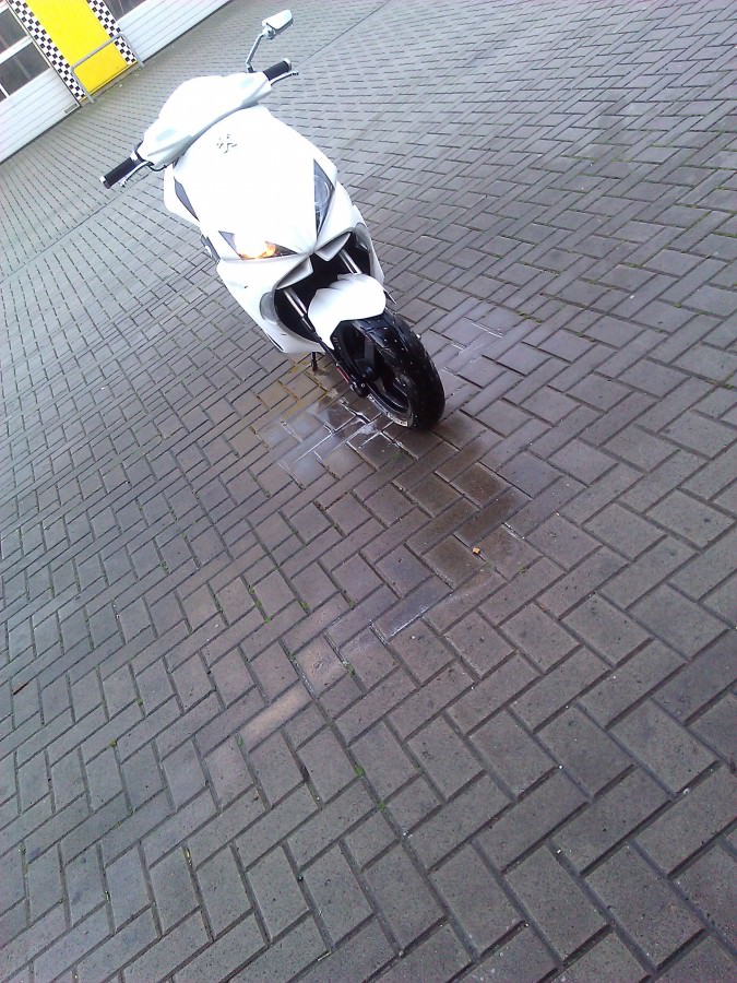 Pflege muss sein, lo