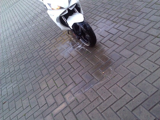 Pflege muss sein, lo