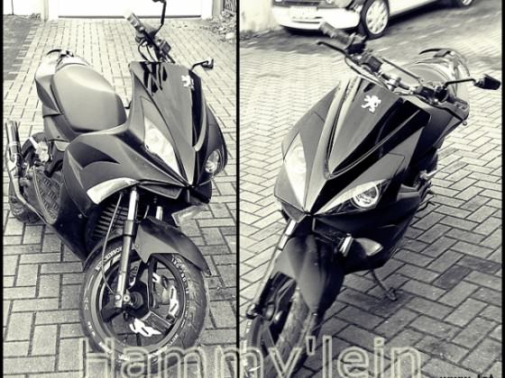 Hammy'lein :)