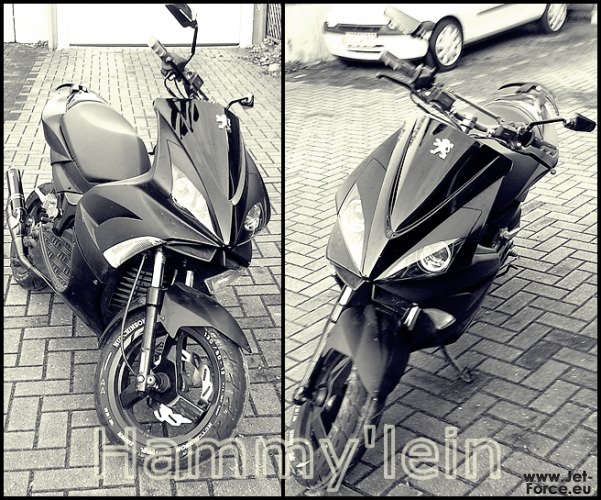 Hammy'lein :)