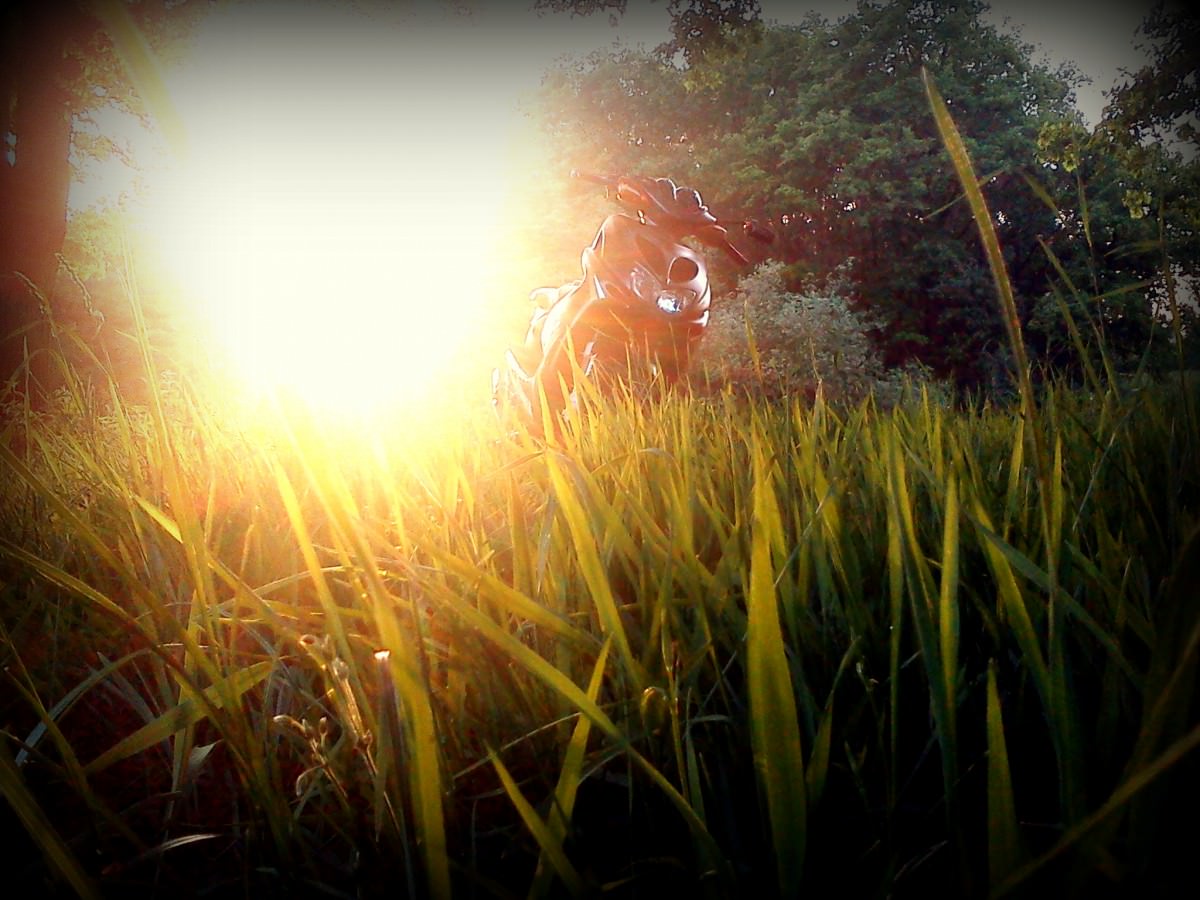Weil so ein Wetter unbeschreiblich ist ♥