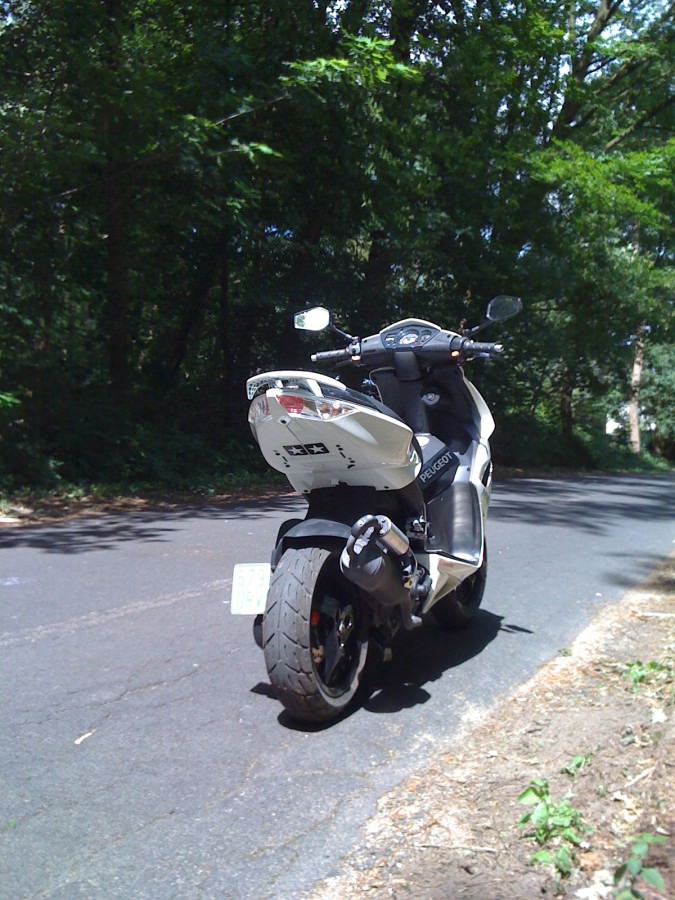 show me your rear baby'