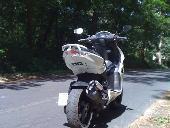 show me your rear baby'