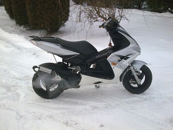 Zdjęcie0958