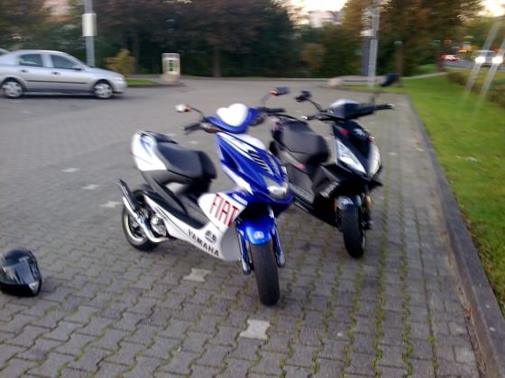 Speedy + Rox