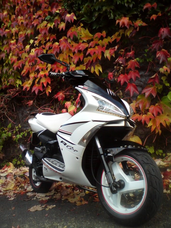 Der Scooter
