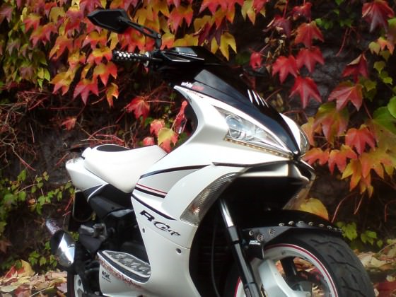 Der Scooter