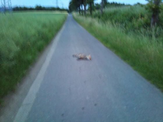 unfall -.-