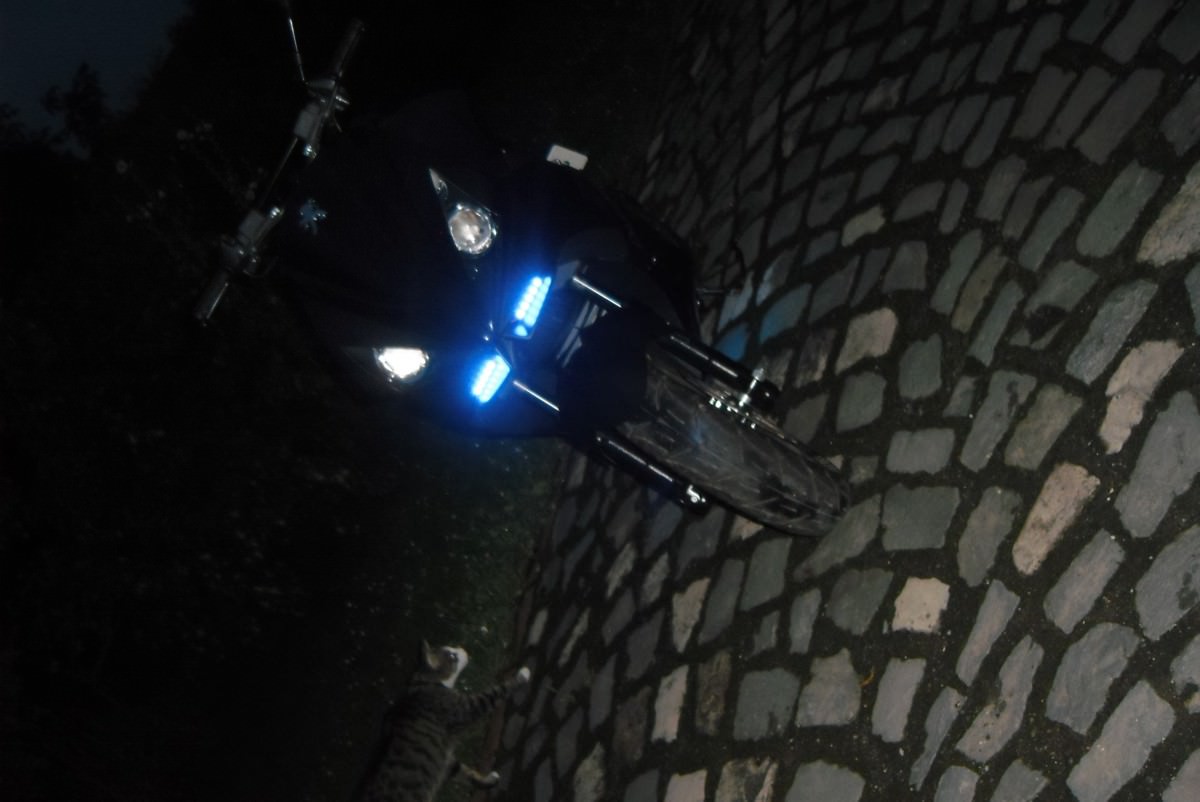 DSCI0027