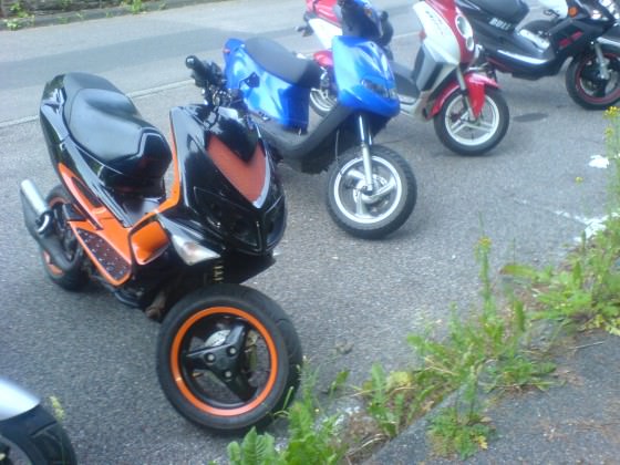 speedy wurde gefickt (mal wieder), sperre bis 21 =( . Er wollte den polizisten fast hauen^^