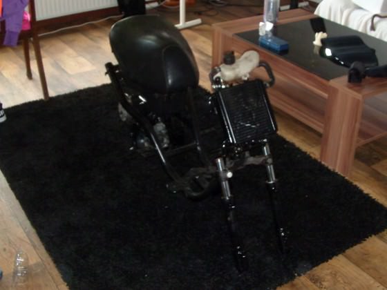 Mal zusammen gebaut .. ;)