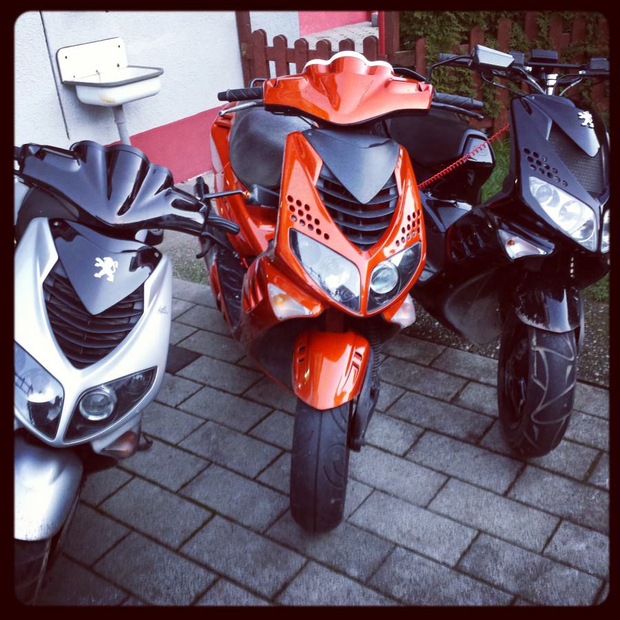 Mein neuer ^^