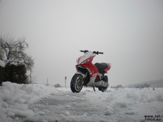 IMGP1469.JPG