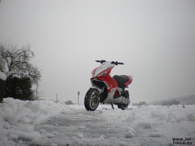 IMGP1469.JPG