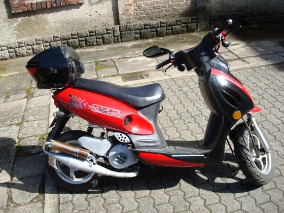 fex sein rex