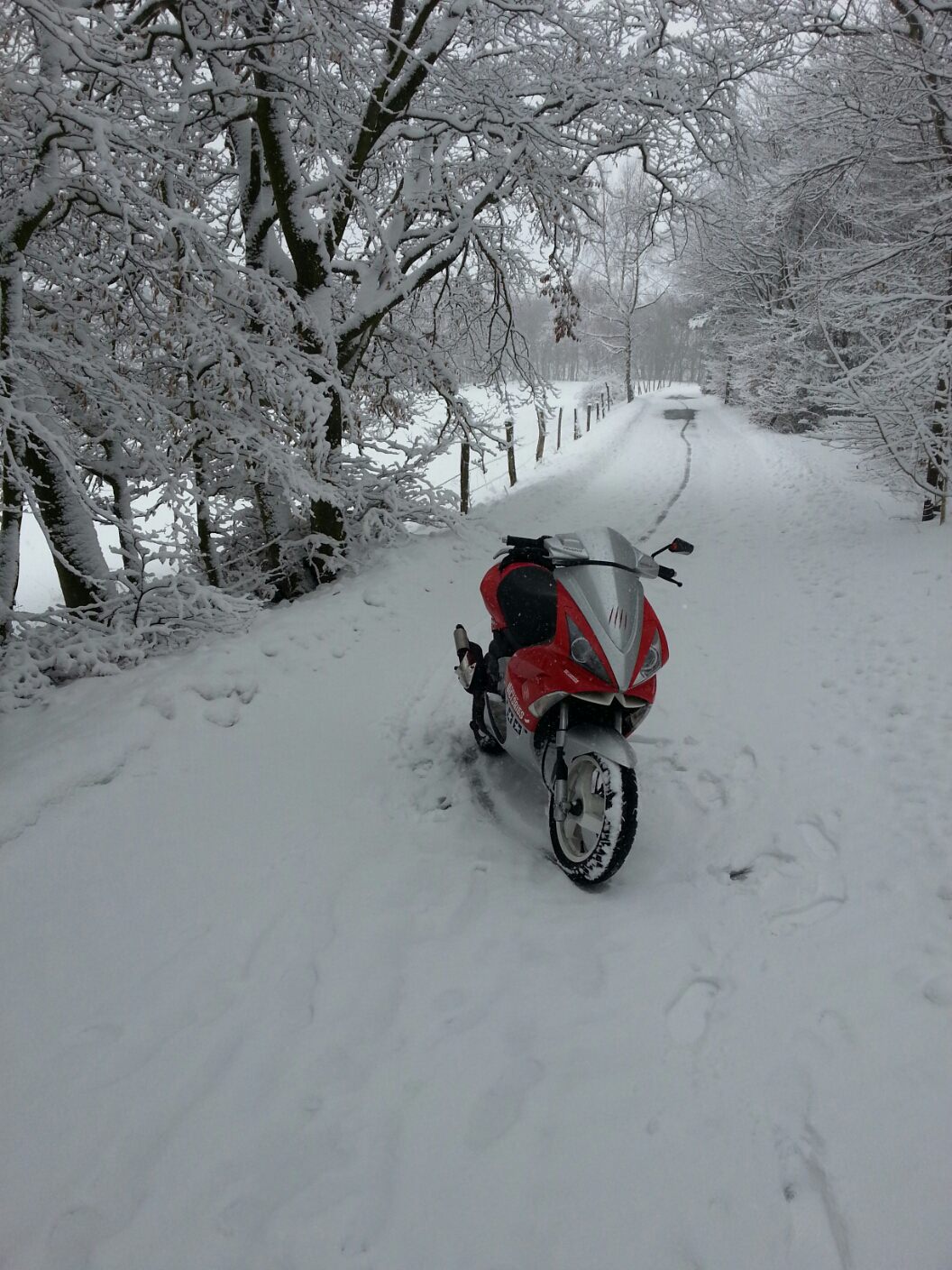 Schnee.. AGAIN !
