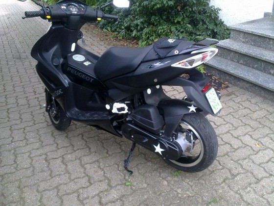 Mein neuer jetty 3 wochen alt =)