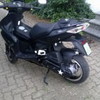 Mein neuer jetty 3 wochen alt =)