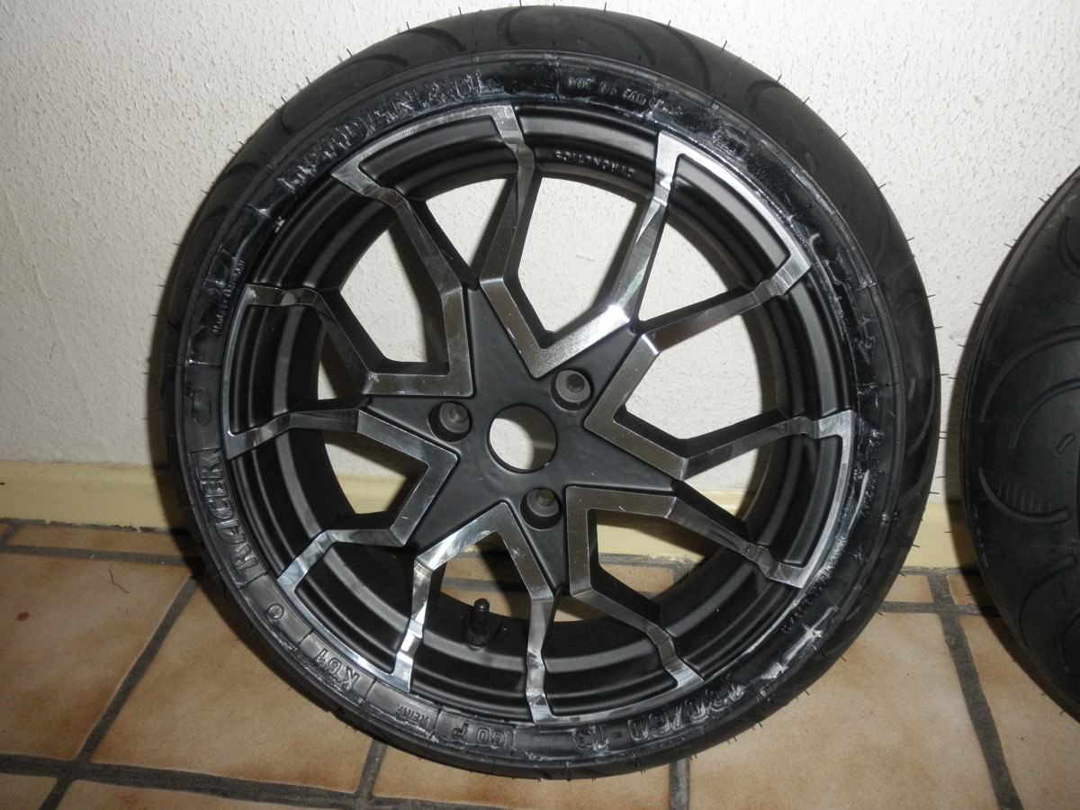 meine baby´s (2)