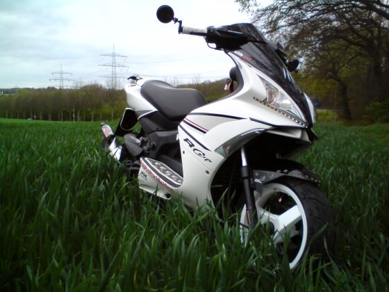 Der Scooter