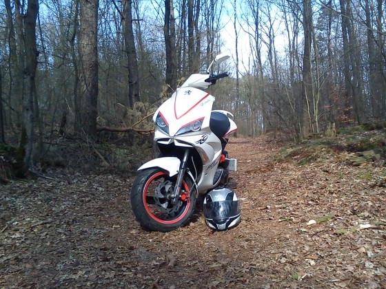Im Wald =)