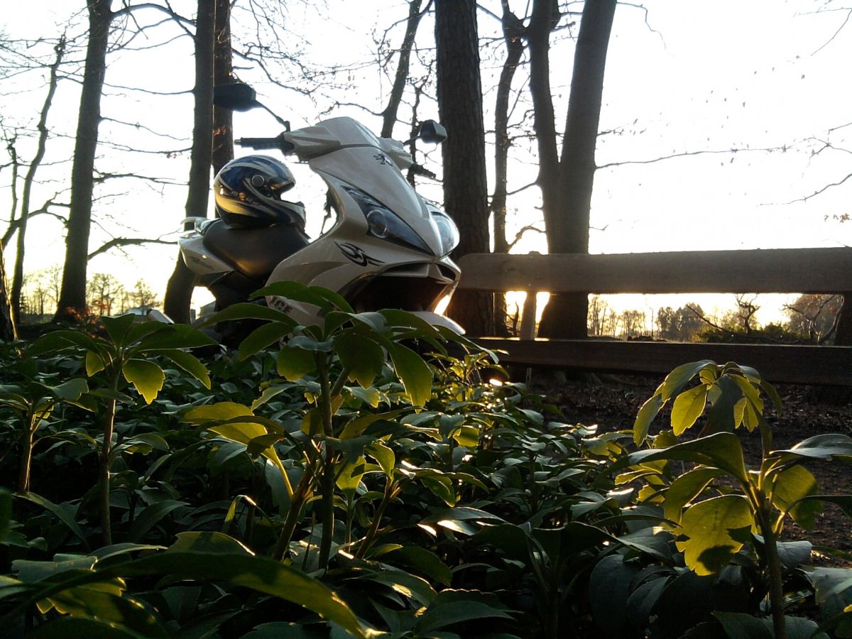 Sonnenuntergang Frühling <3