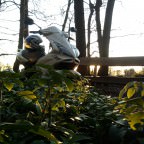 Sonnenuntergang Frühling <3