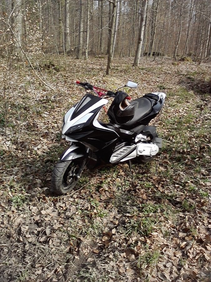 Mit meinem Jetforce im wald
