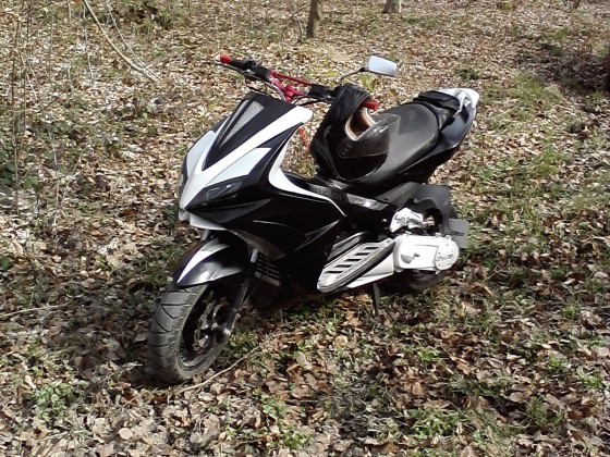 Mit meinem Jetforce im wald